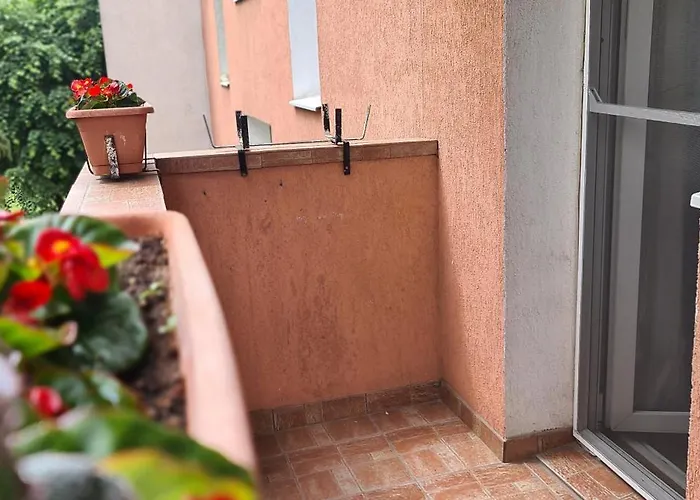 Armonia 布拉索夫