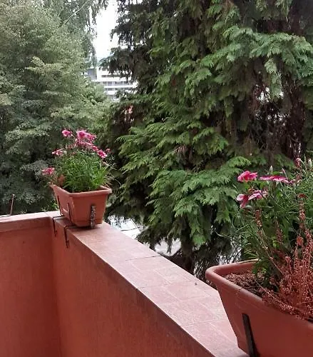 Apartament Armonia Brașov